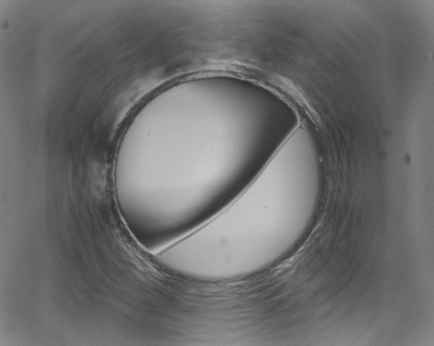 X0000063471260200601200946