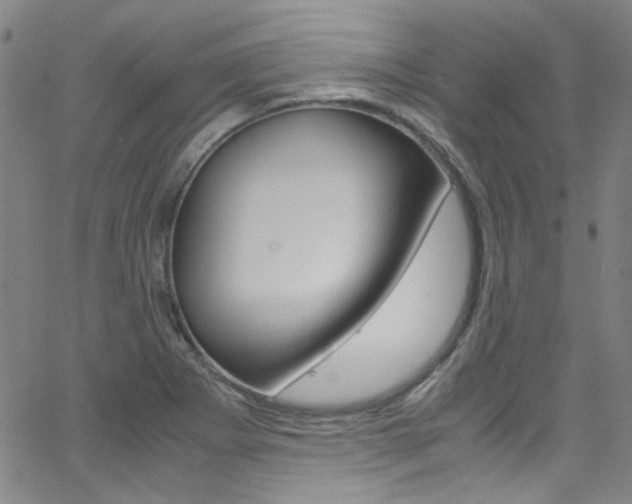 X0000063471273200601200946