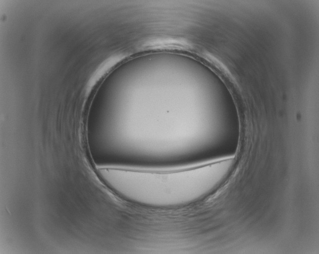 X0000063471277200601200946