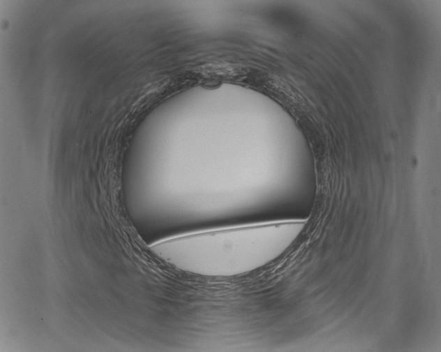 X0000063471297200601200945