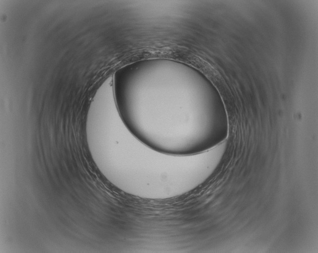 X0000063471298200601200945