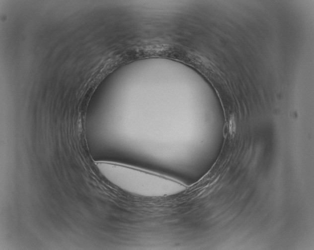 X0000063471299200601200945