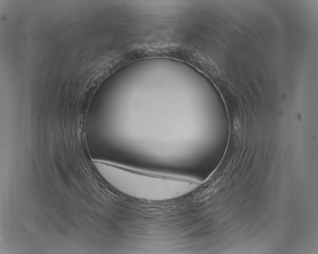 X0000063471300200601200945