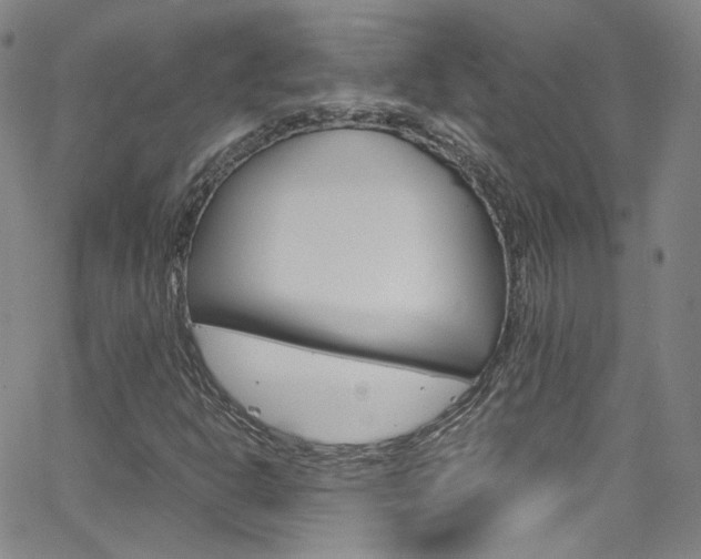 X0000063471302200601200945