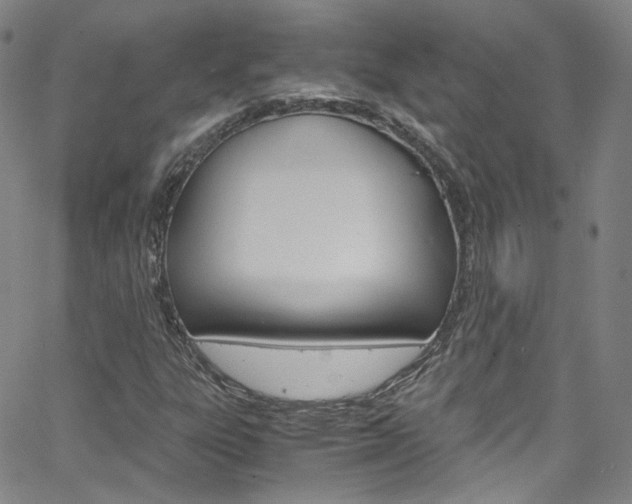 X0000063471303200601200945