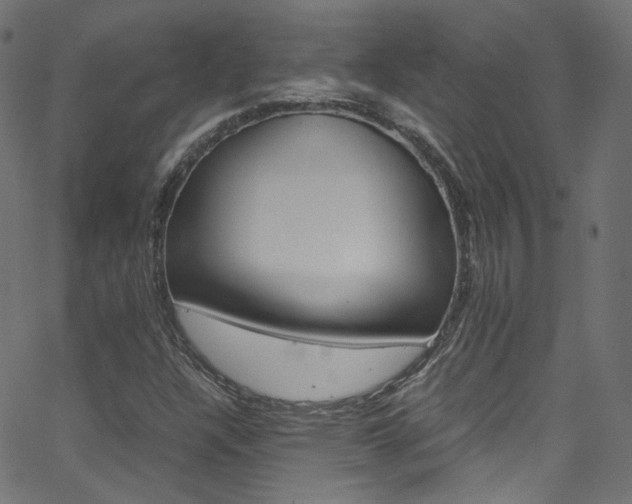 X0000063471304200601200945