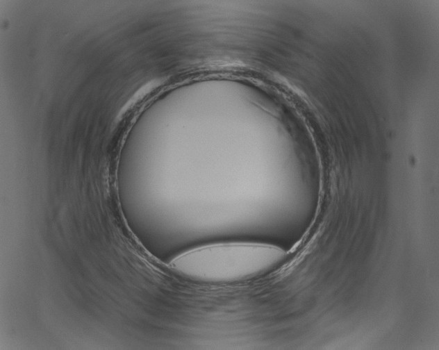 X0000063471306200601200945