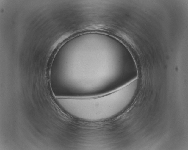 X0000063471308200601200945