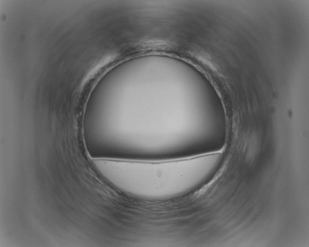 X0000063471309200601200945