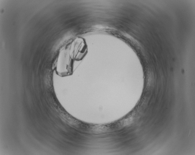 X0000063471314200601200945