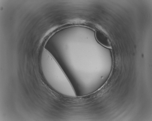 X0000063471315200601200945