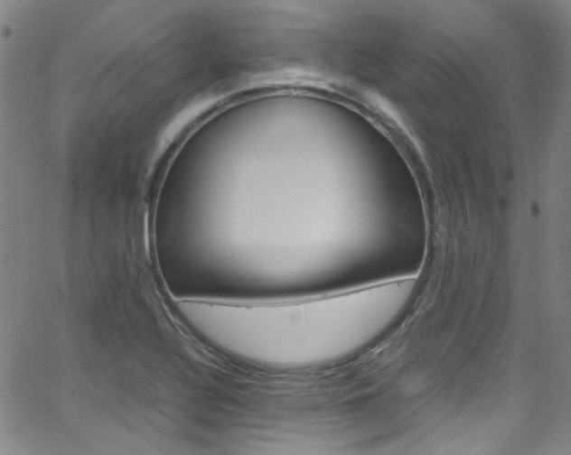 X0000063471320200601200945