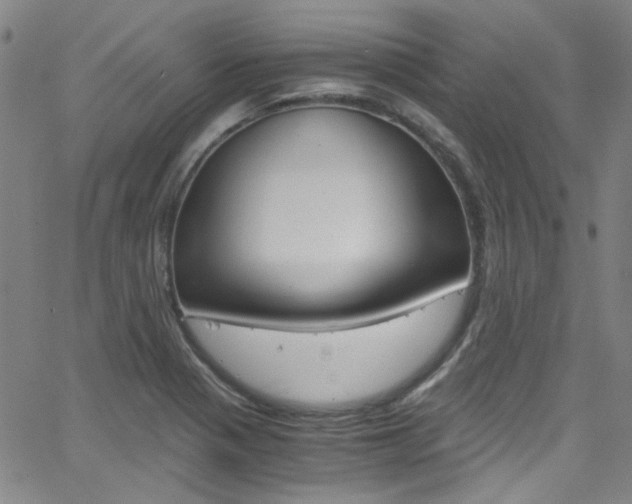 X0000063471321200601200945