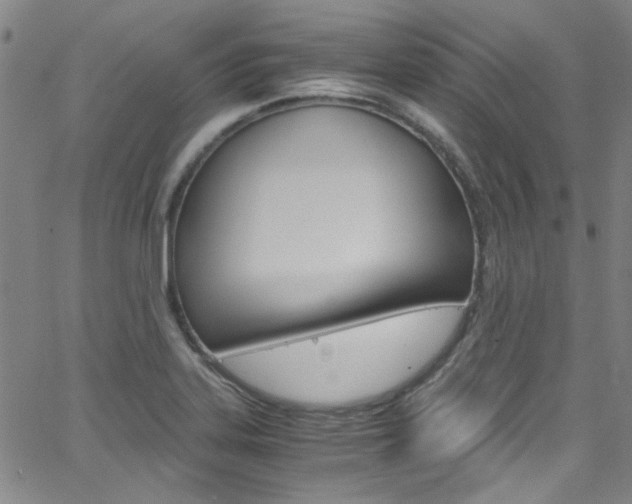 X0000063471323200601200945