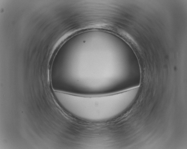 X0000063471324200601200945