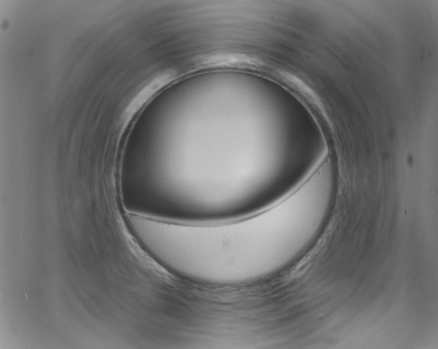 X0000063471330200601200945