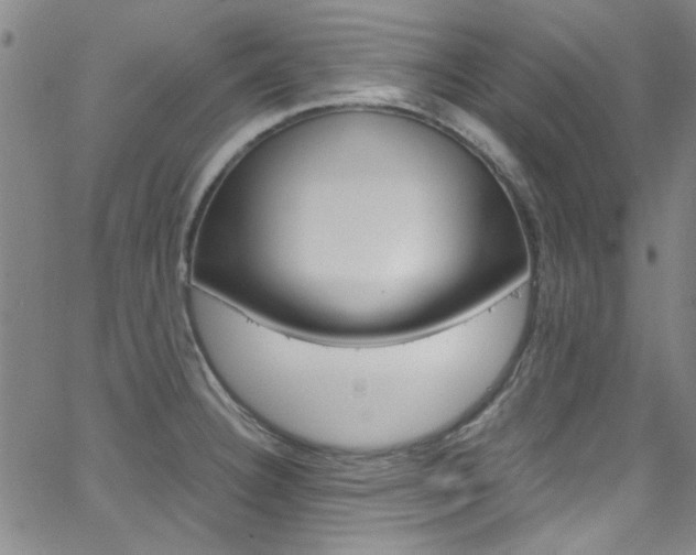 X0000063471332200601200945