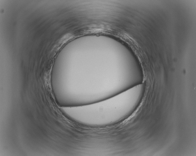 X0000063471353200601200945
