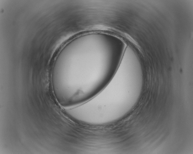 X0000063471364200601200944