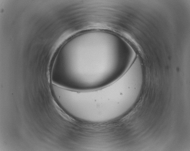 X0000063471372200601200944