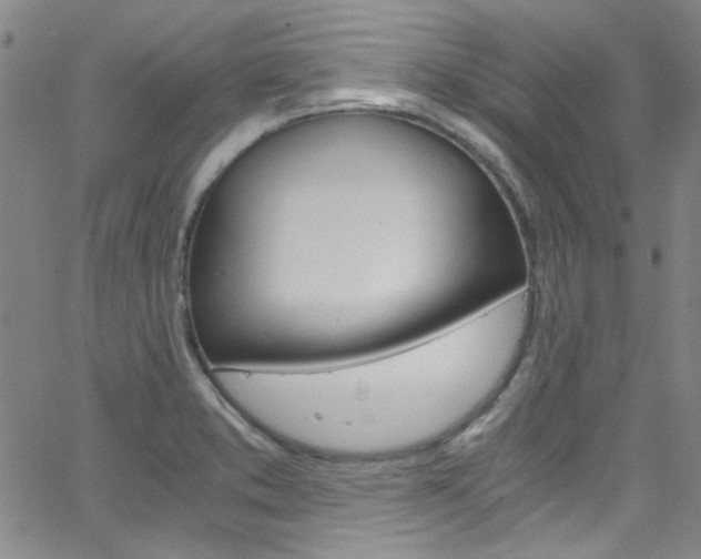 X0000063471373200601200944