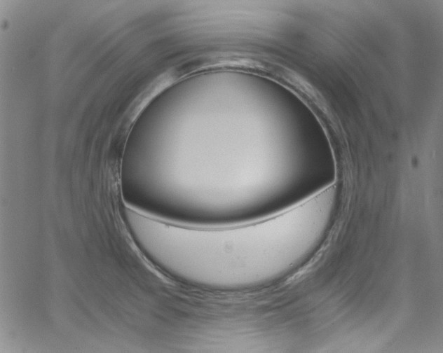 X0000063471377200601200944