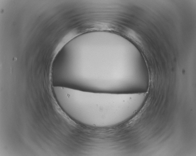X0000063471378200601200944