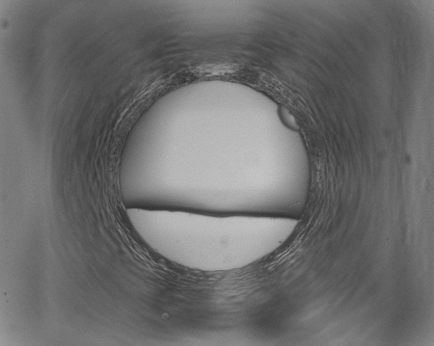 X0000063471393200601200943