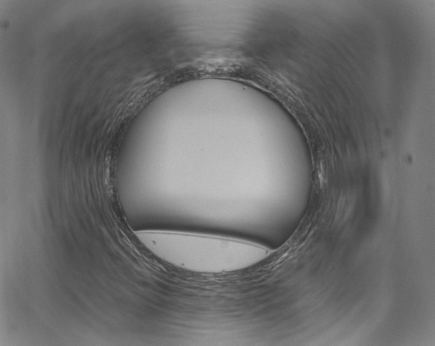 X0000063471396200601200943