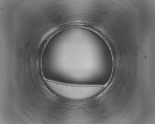 X0000063471402200601200943