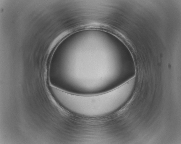 X0000063471418200601200944