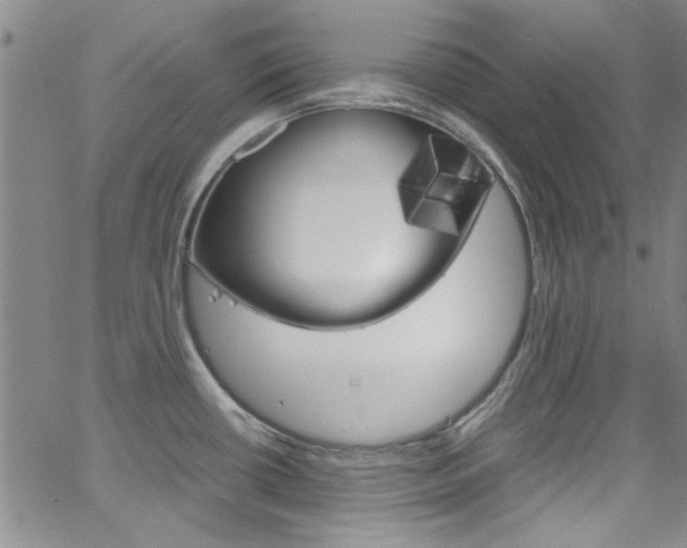 X0000063471434200601200944