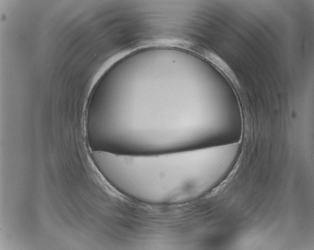 X0000063471436200601200944