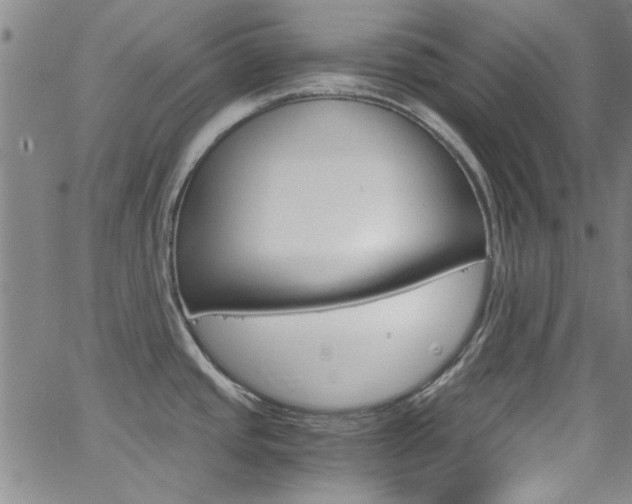 X0000063471437200601200944