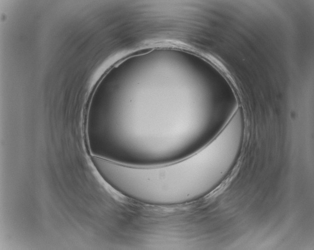 X0000063471438200601200944