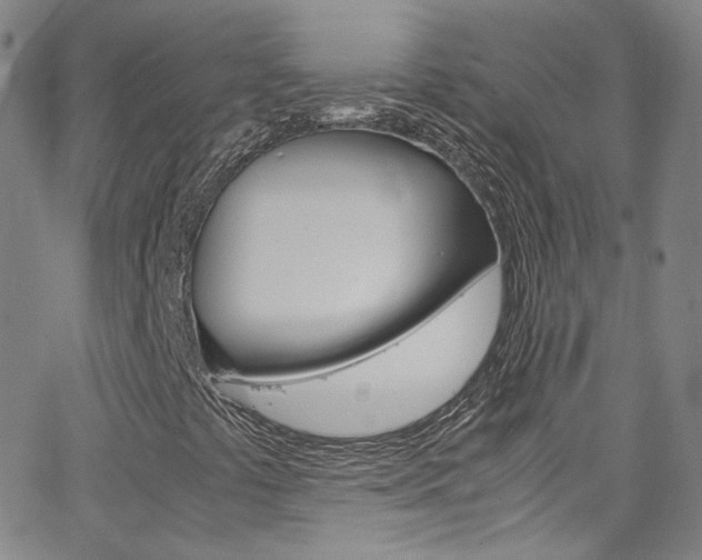 X0000063471441200601200943