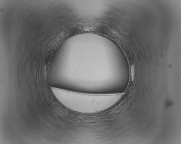 X0000063471443200601200943