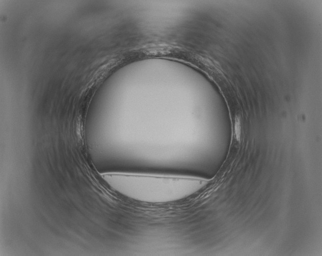 X0000063471444200601200943