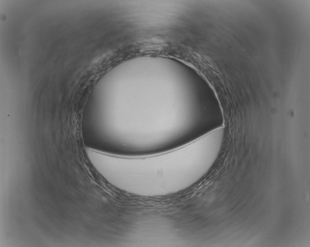 X0000063471445200601200943