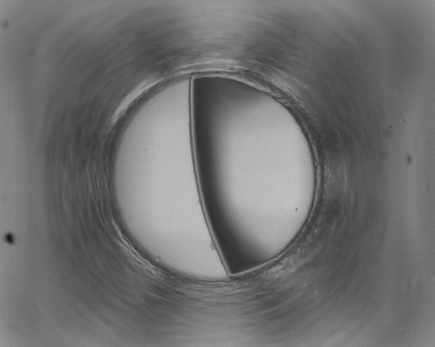 X0000063471450200601200943