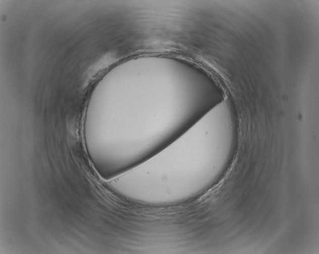 X0000063471451200601200943