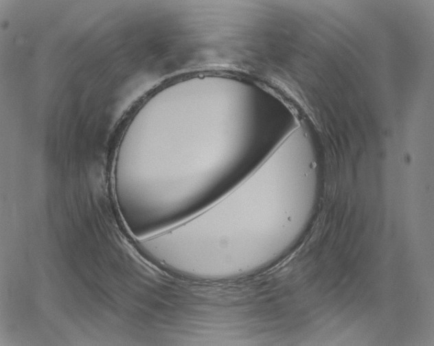 X0000063471452200601200943