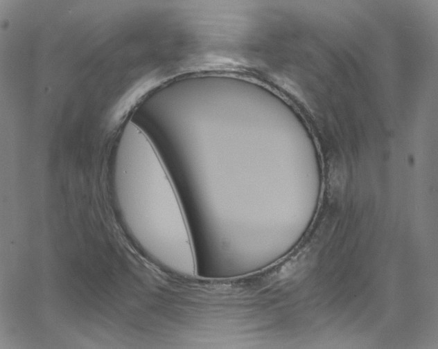 X0000063471455200601200943
