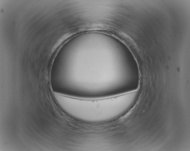X0000063471457200601200943