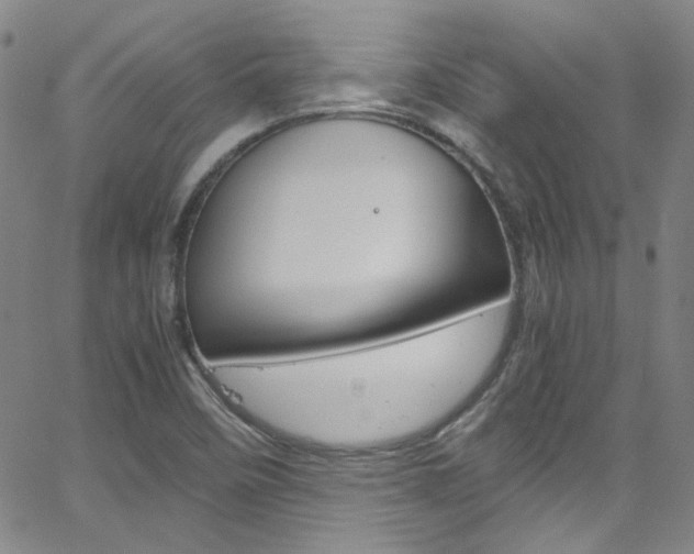 X0000063471458200601200943