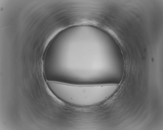 X0000063471476200601200943