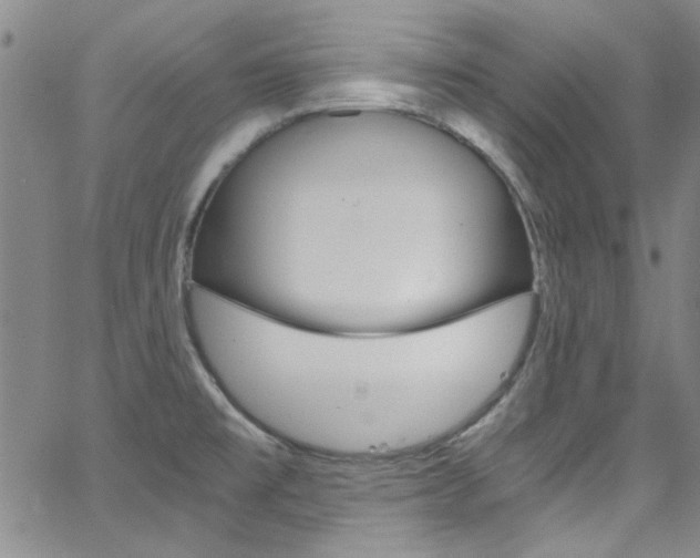X0000063471477200601200943