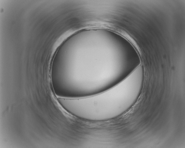X0000063471485200601200943