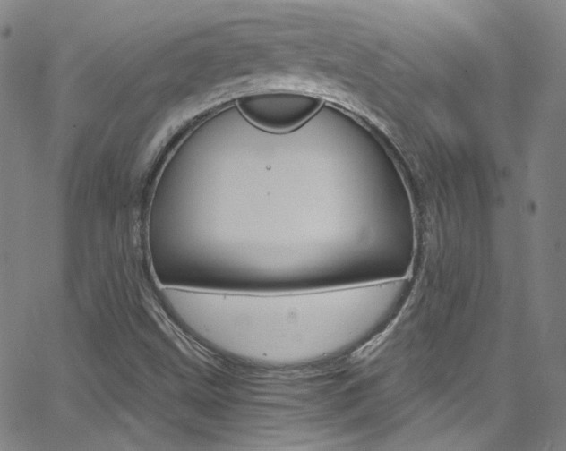 X0000063471499200601200942