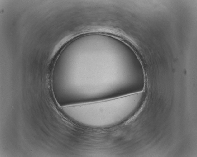 X0000063471501200601200942